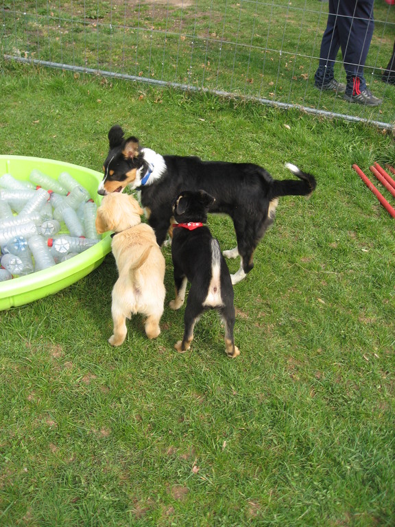 .. a ween traut sech dann elo do drann ze sprangen??