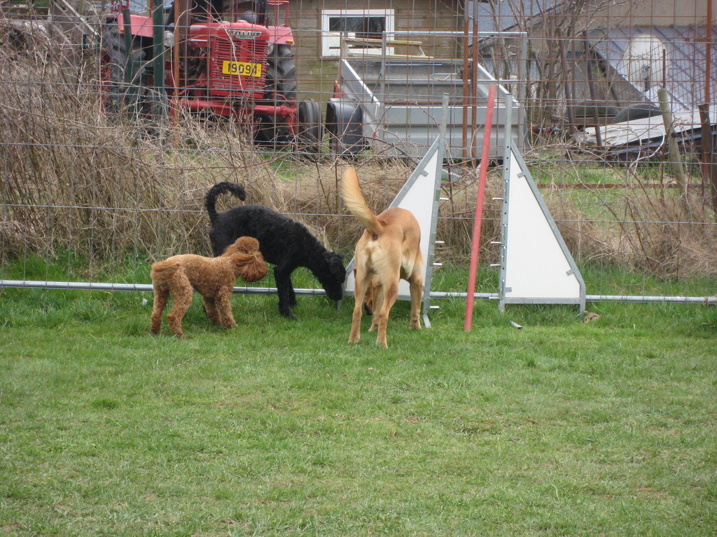 .. hei gett et eppes interressantes ze schnoffelen...