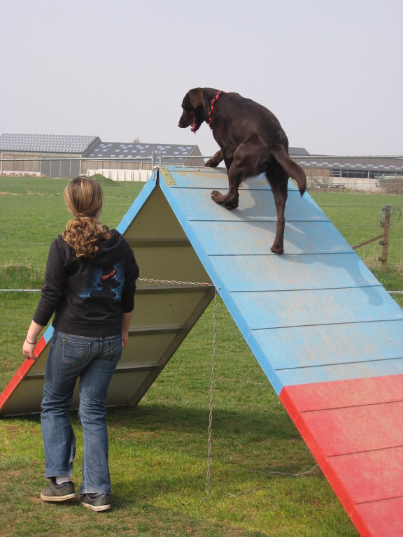 Bailey op der Kletterwand gefouert vum Tania