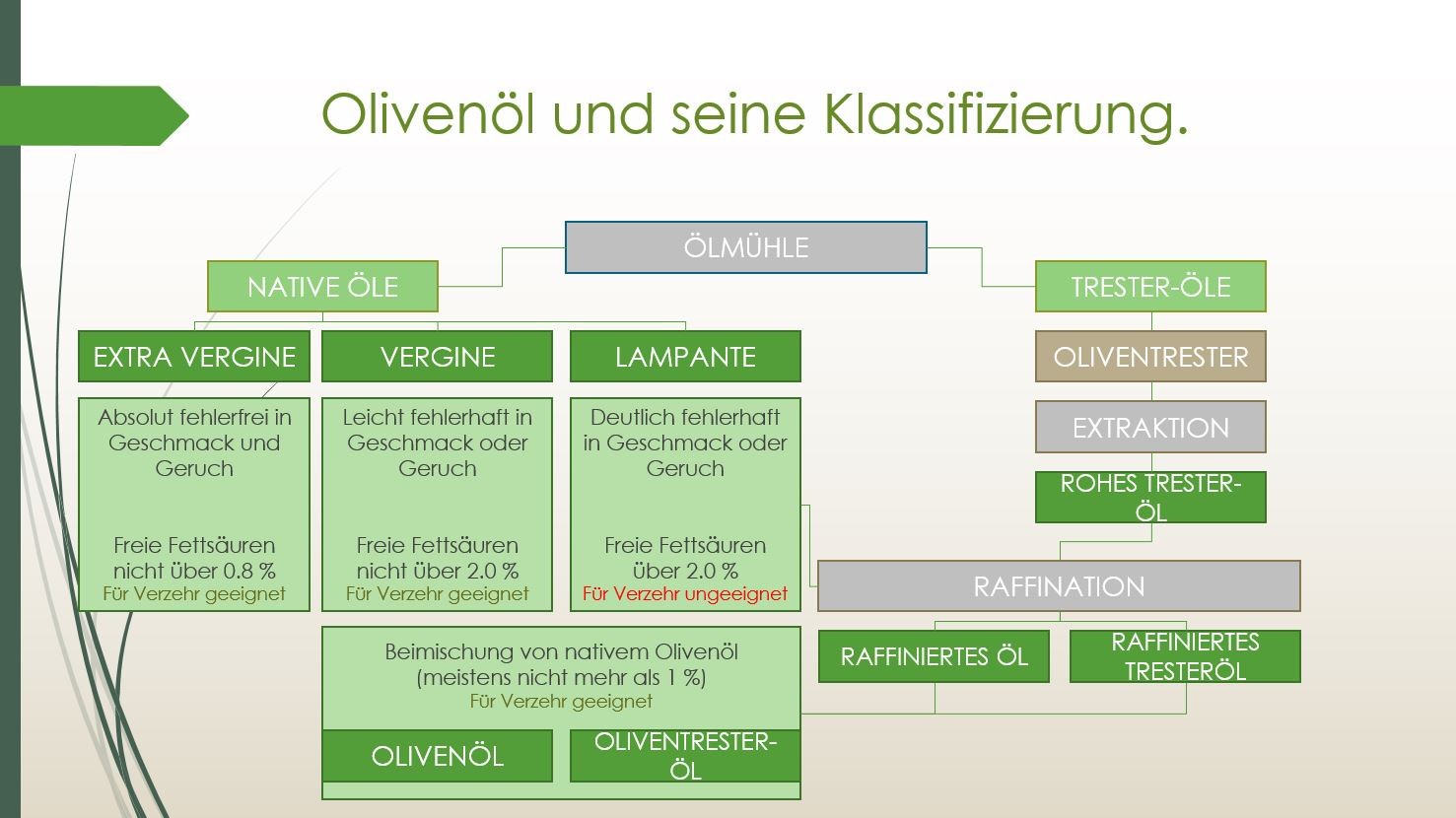 (c) Oliveoilmaster.ch