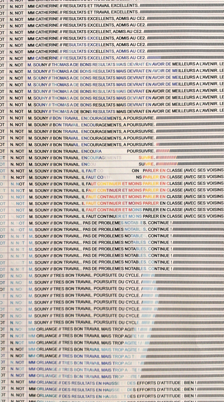 Thomas Tudoux, Mes Idoles (détail), tableur informatique, 2009 