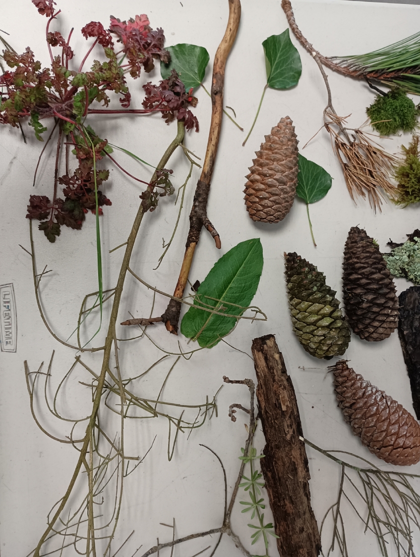 Rencontre avec Carlos Bernal Barrera