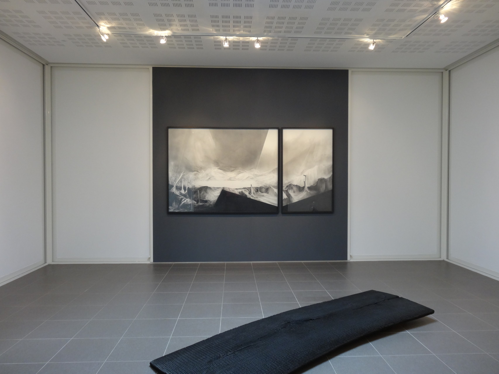 Vues de l'exposition Angélique Lecaille, After Dawn, 2014.
