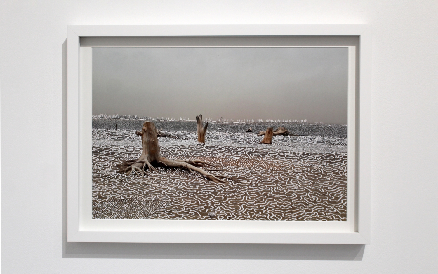 Raphaëlle Peria, Quand les eaux se retirent #3, grattage sur photographie, 30 x 45 cm, 2020