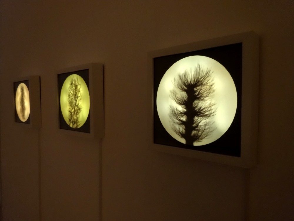Vue de l'exposition Eunji Peignard-Kim, Drapés de paysage, 2015