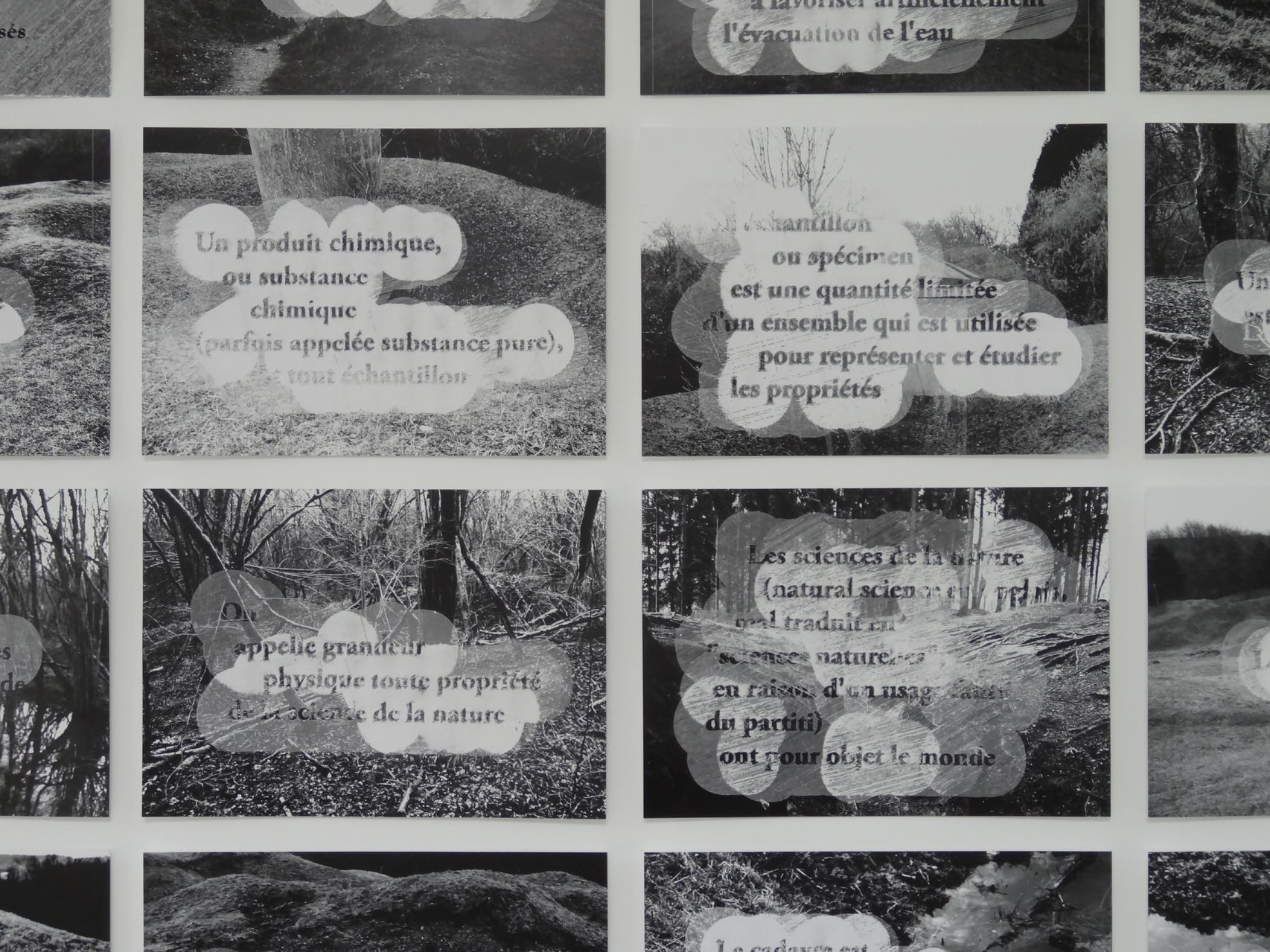 Vue de l'exposition Damien Marchal & Nylso, Trancher. Photo : L'aparté.