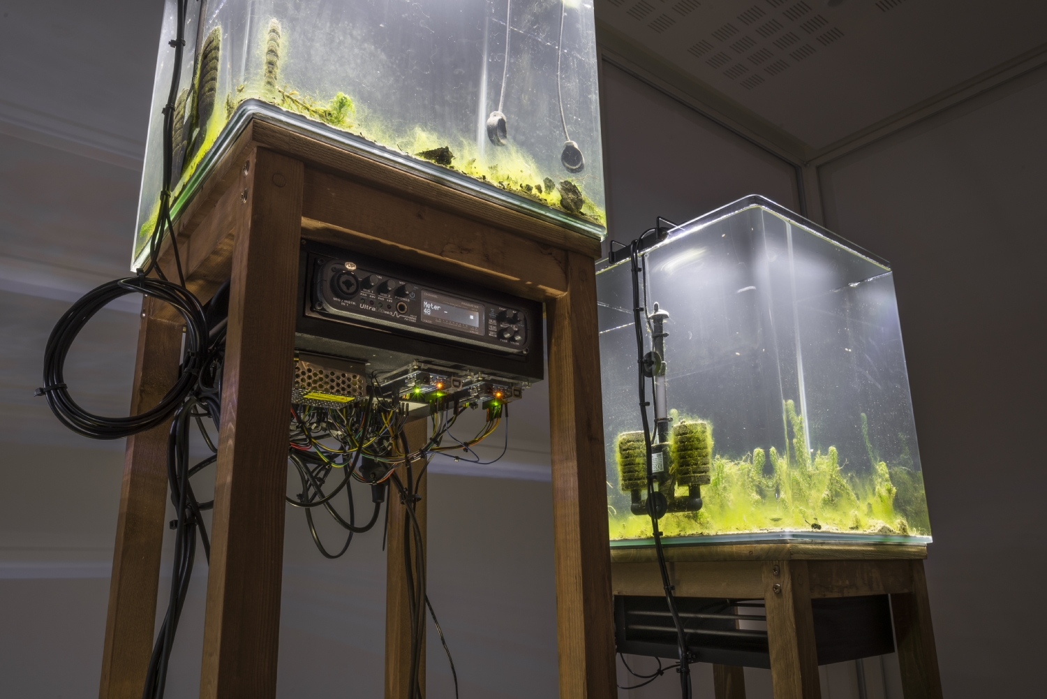 Vue de l'exposition Paul Duncombe, Microcosmes, 2017. Photo : Paul Duncombe