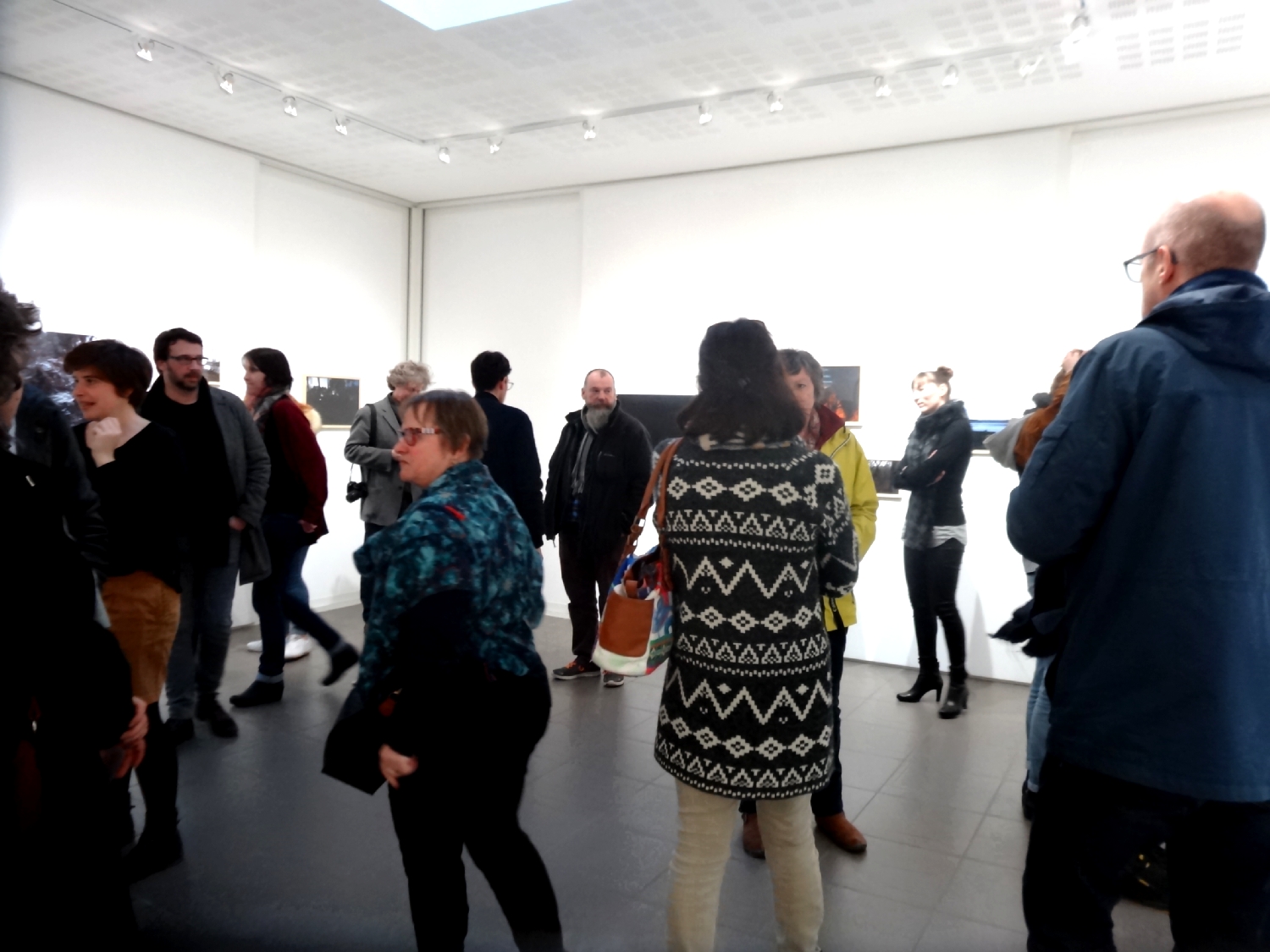 Vernissage de l'exposition Julie Meyer, Entre chien et loup