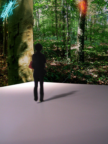 Emmanuelle Lauer, Les lumières de la terre, 2011.