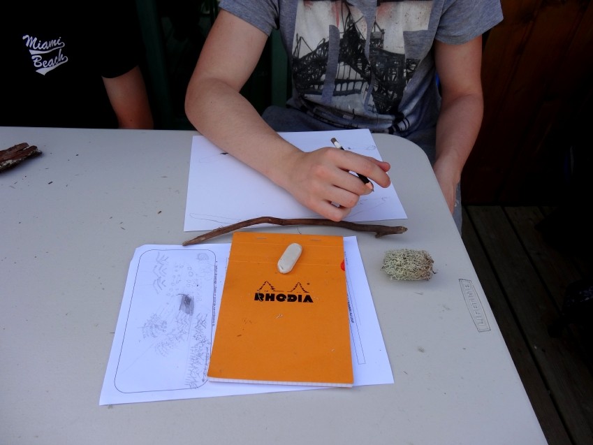 Dessin d'observation à partir des éléments végétaux et minéraux récoltés dans la nature