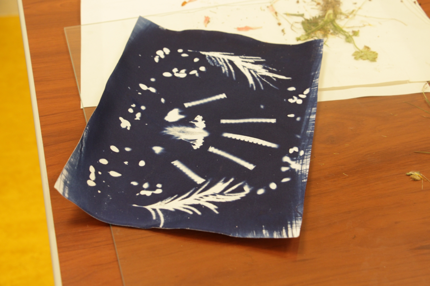 Atelier photo avec Mael Le Golvan