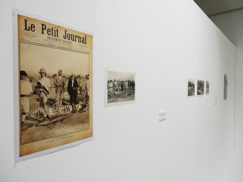 Vue de l'exposition, Allegorie Allegora, 2014. © L'aparté, lieu d'art contemporain.