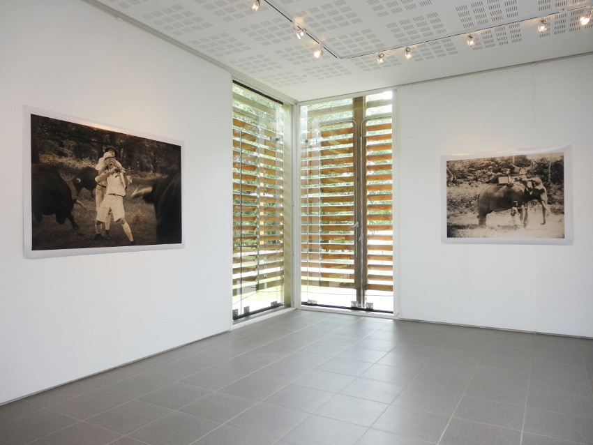 Vue de l'exposition, Allegorie Allegora, 2014. © L'aparté, lieu d'art contemporain.