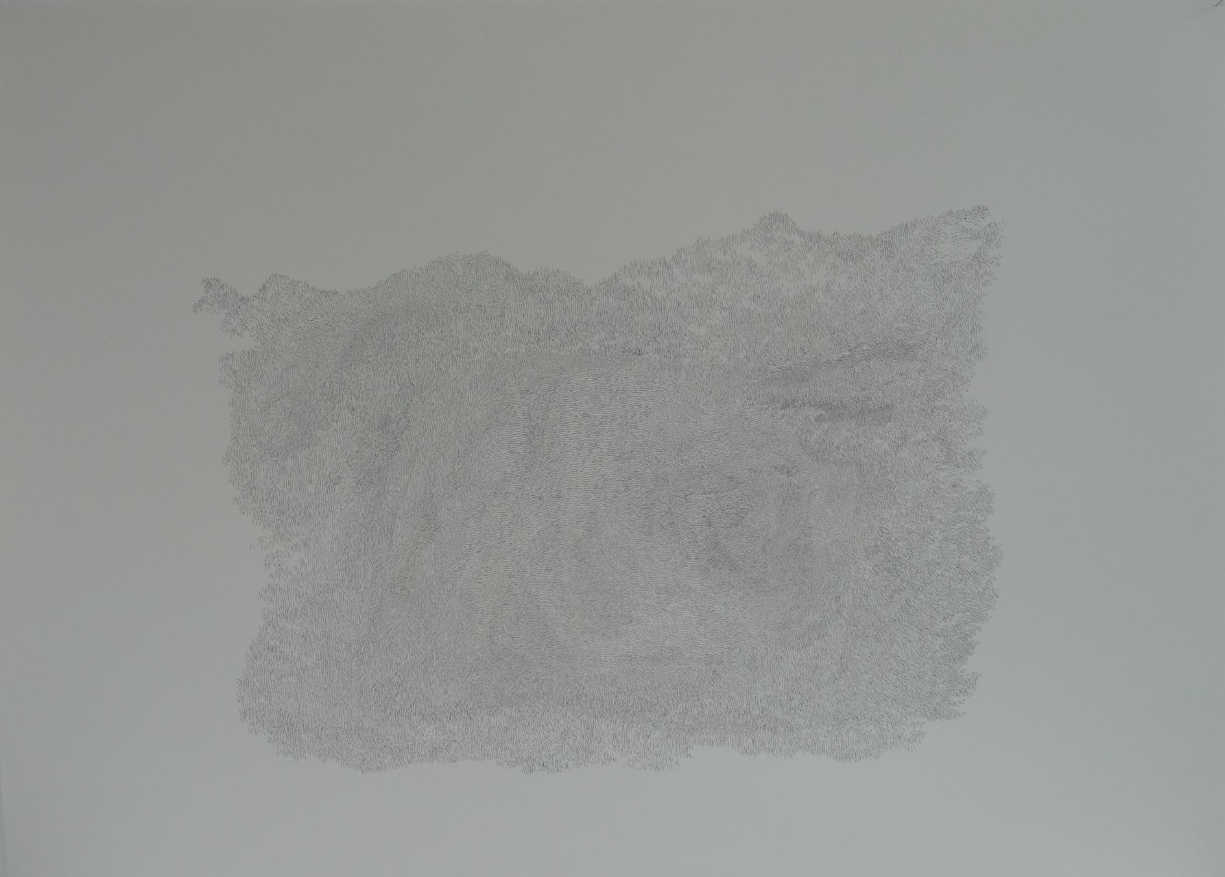 Vue de l'exposition Damien Marchal & Nylso, Trancher. Photo : L'aparté.