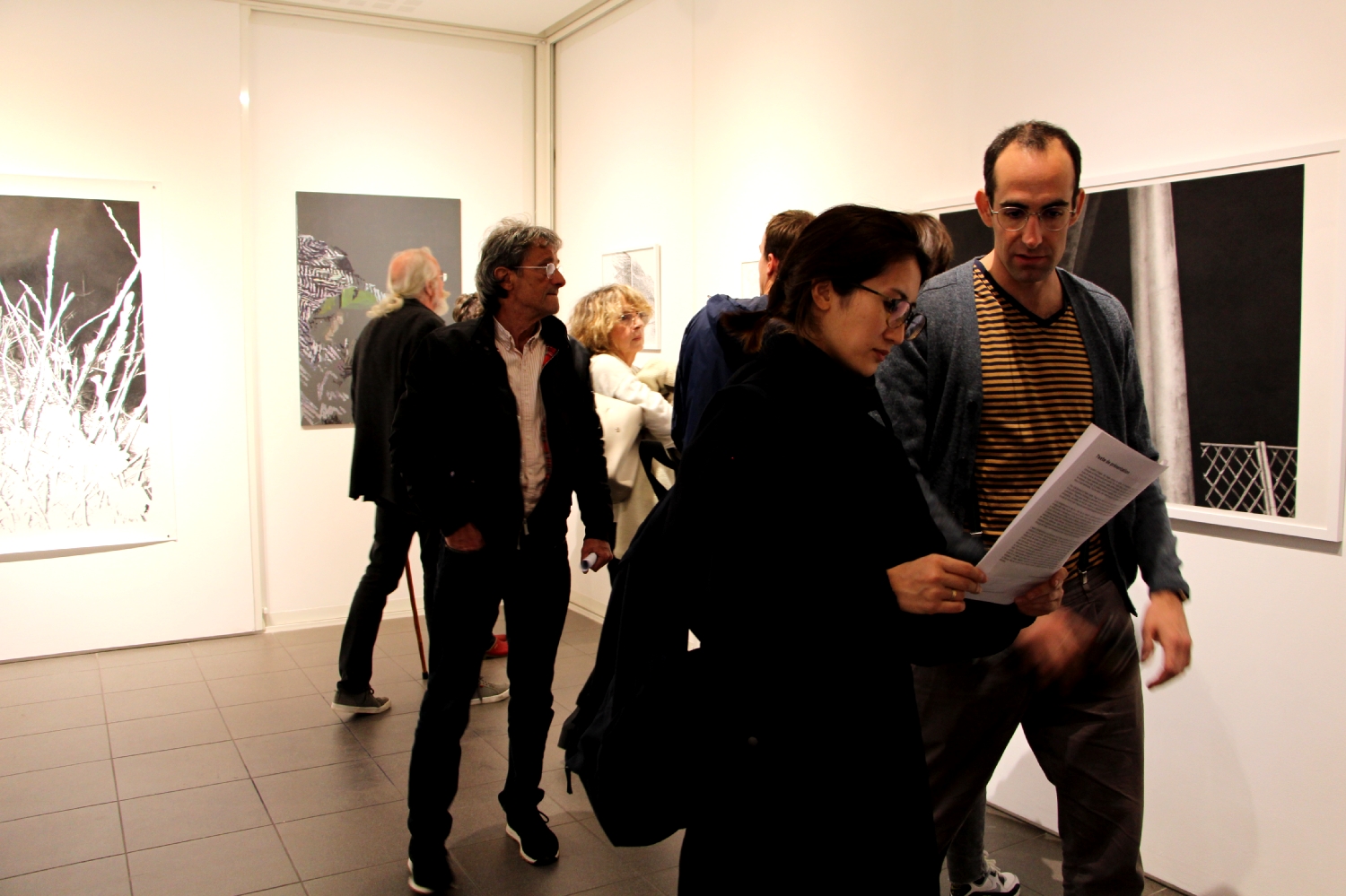 Vernissage de l'exposition Julie Bonnaud et Fabien Leplae, Plasmes