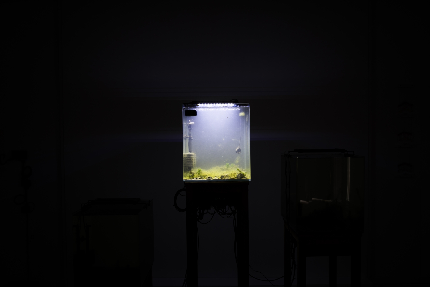 Vue de l'exposition Paul Duncombe, Microcosmes, 2017. Photo : Paul Duncombe