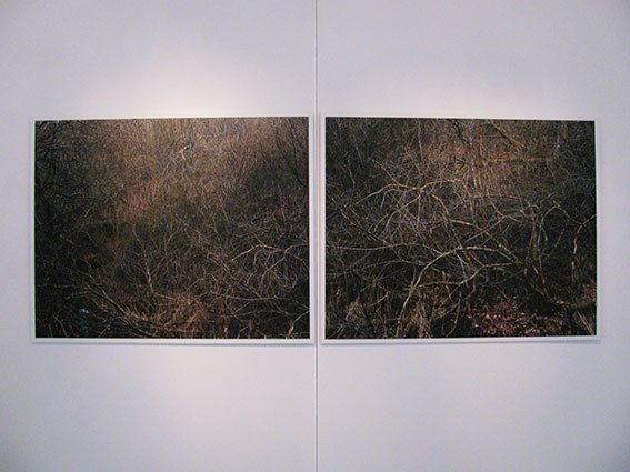 Cédric Martigny,  Métamorphoses, 2012-2013, série de photographies. Production L'aparté. 