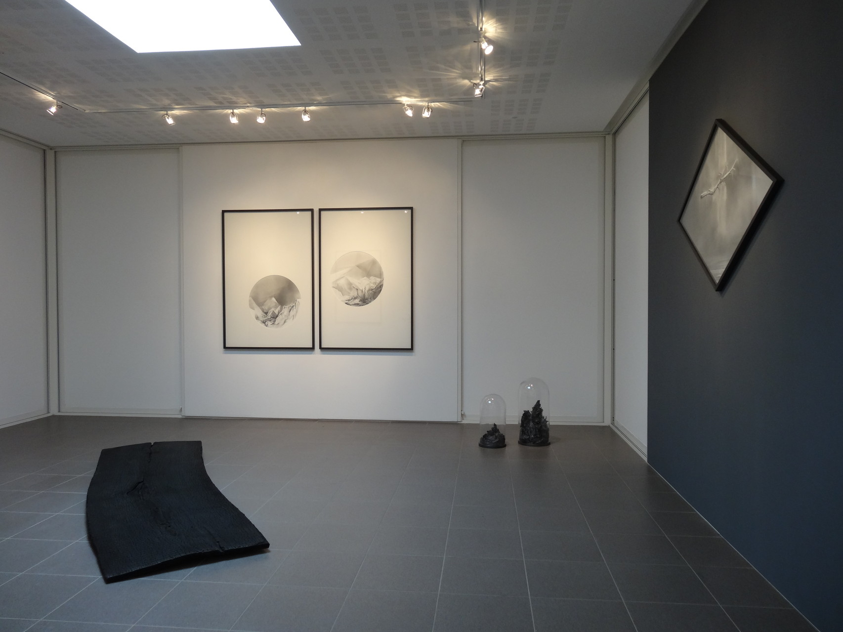 Vues de l'exposition Angélique Lecaille, After Dawn, 2014.
