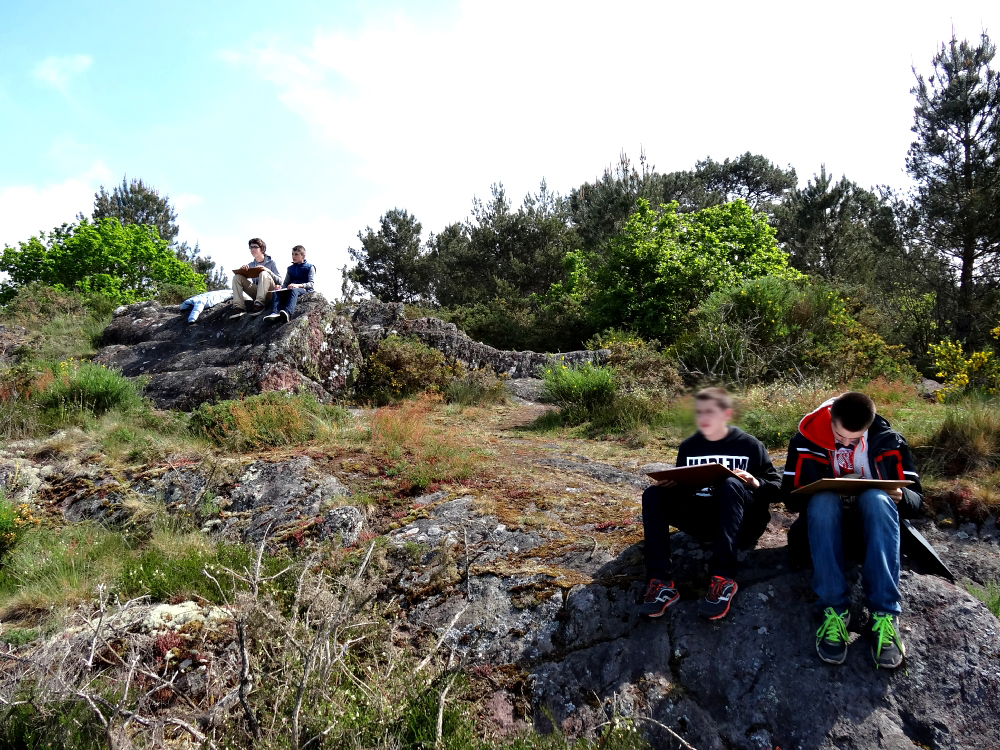 3ème MFR Montauban-de-Bretagne mai 2016