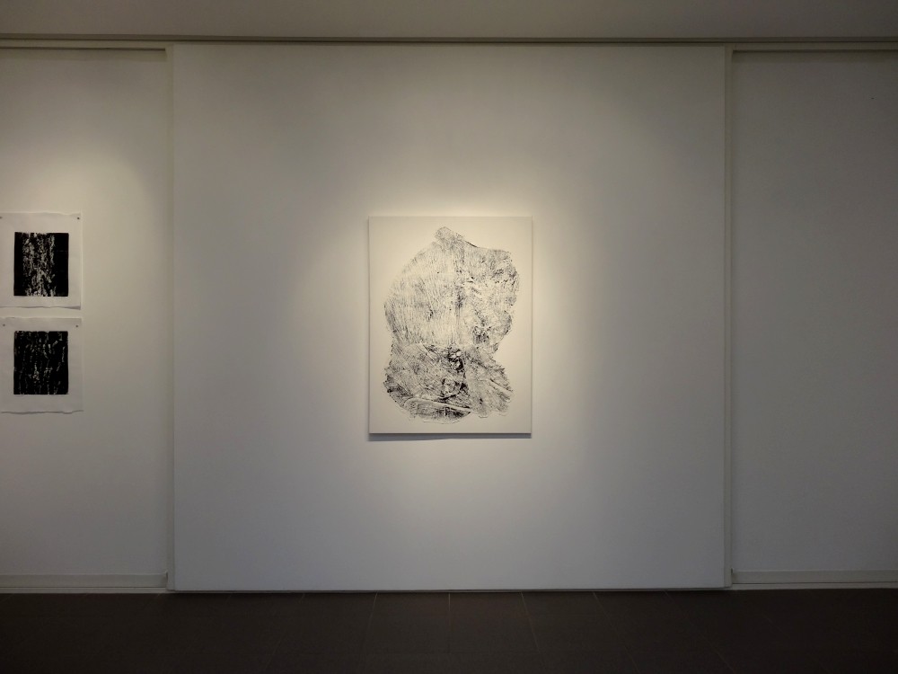 Vue de l'exposition Cécile White, Empreinte carbone. "Puzzle", monotypes encre et acrylique sur papier de riz assemblés sur toile, 90x120 cm, 2015.