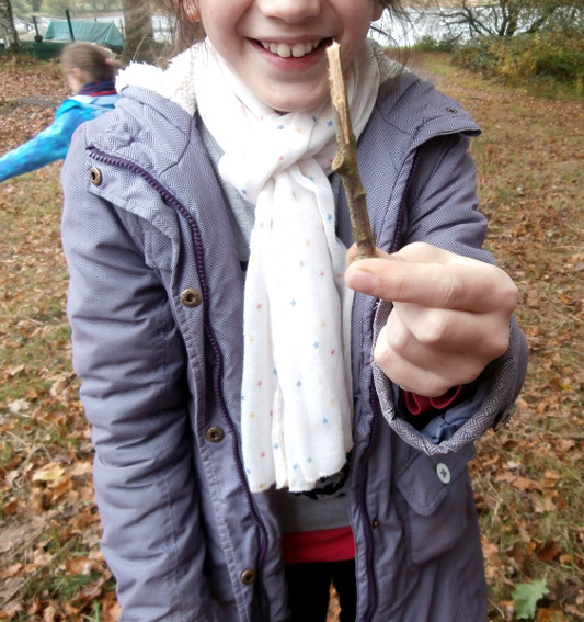 CM1 école élémentaire publique La Fée Viviane, Iffendic - 03.11.15