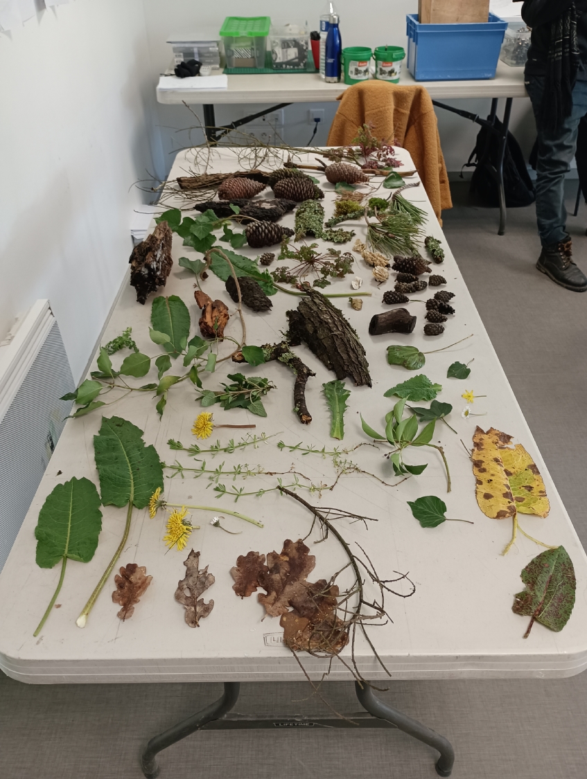 Rencontre avec Carlos Bernal Barrera