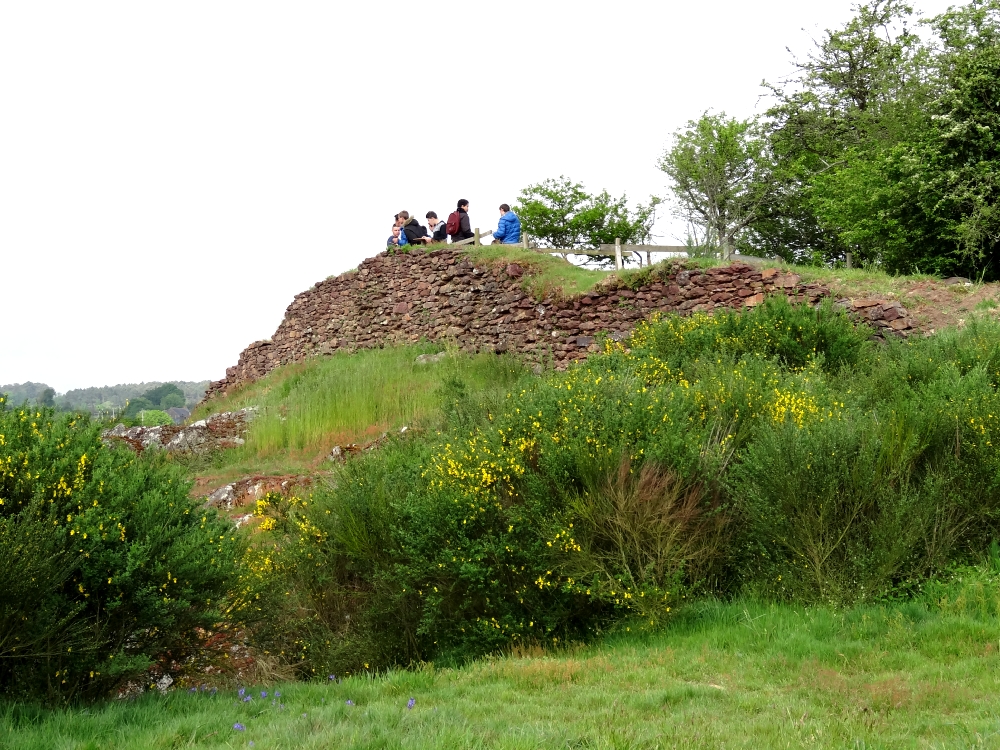 3ème MFR Montauban-de-Bretagne mai 2016