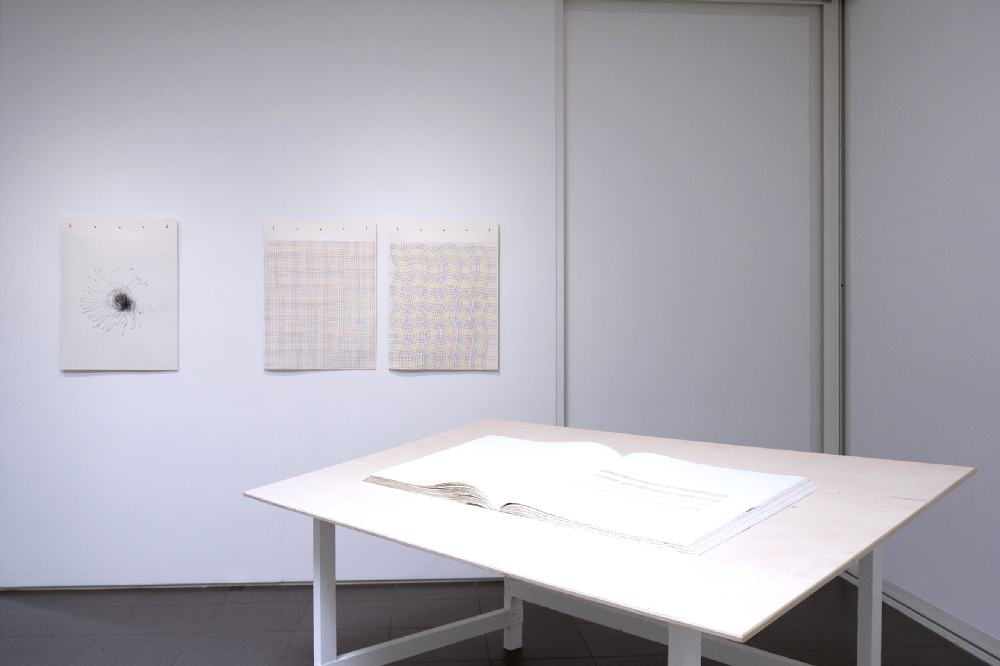 Vue de l'exposition "Franchir le Rubicon" de Pierre Galopin. Photo : JBL