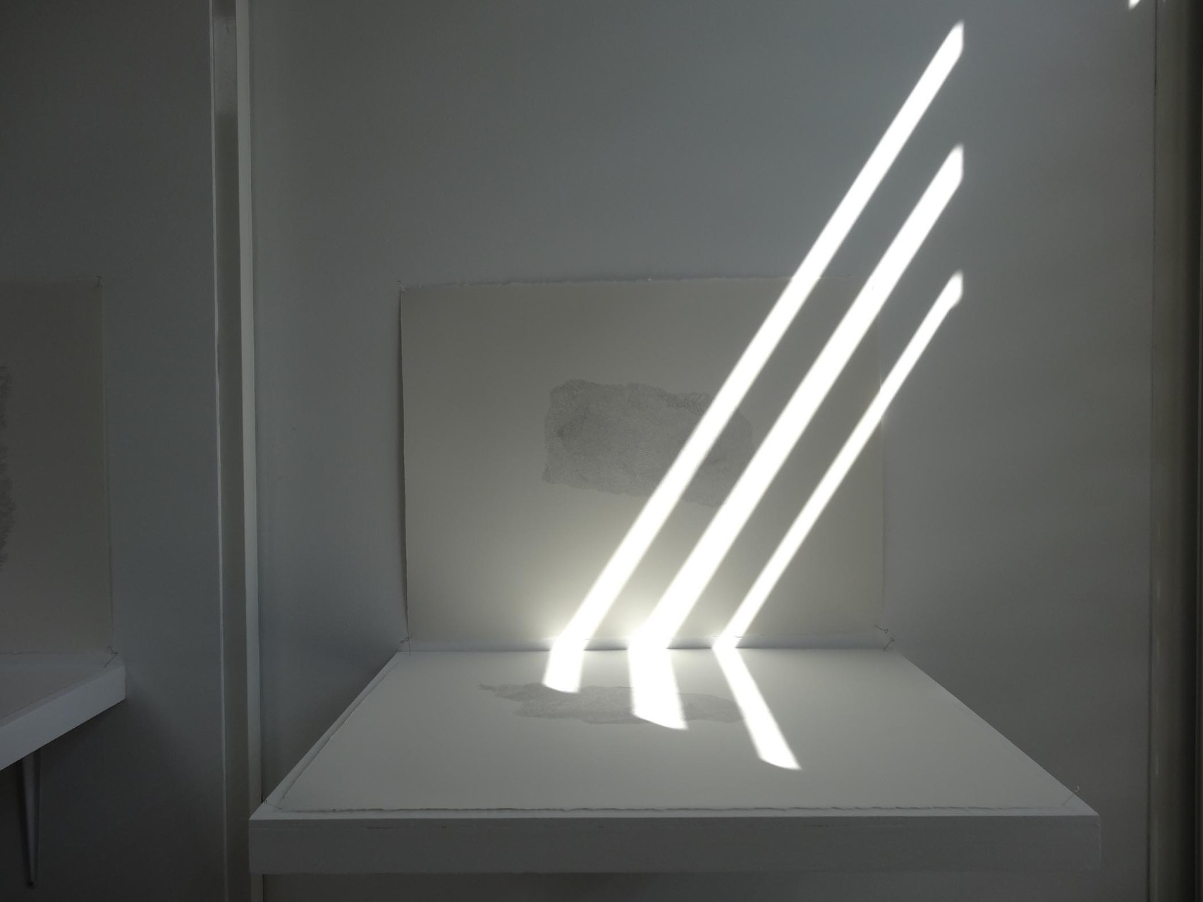 Vue de l'exposition Damien Marchal & Nylso, Trancher. Photo : L'aparté.