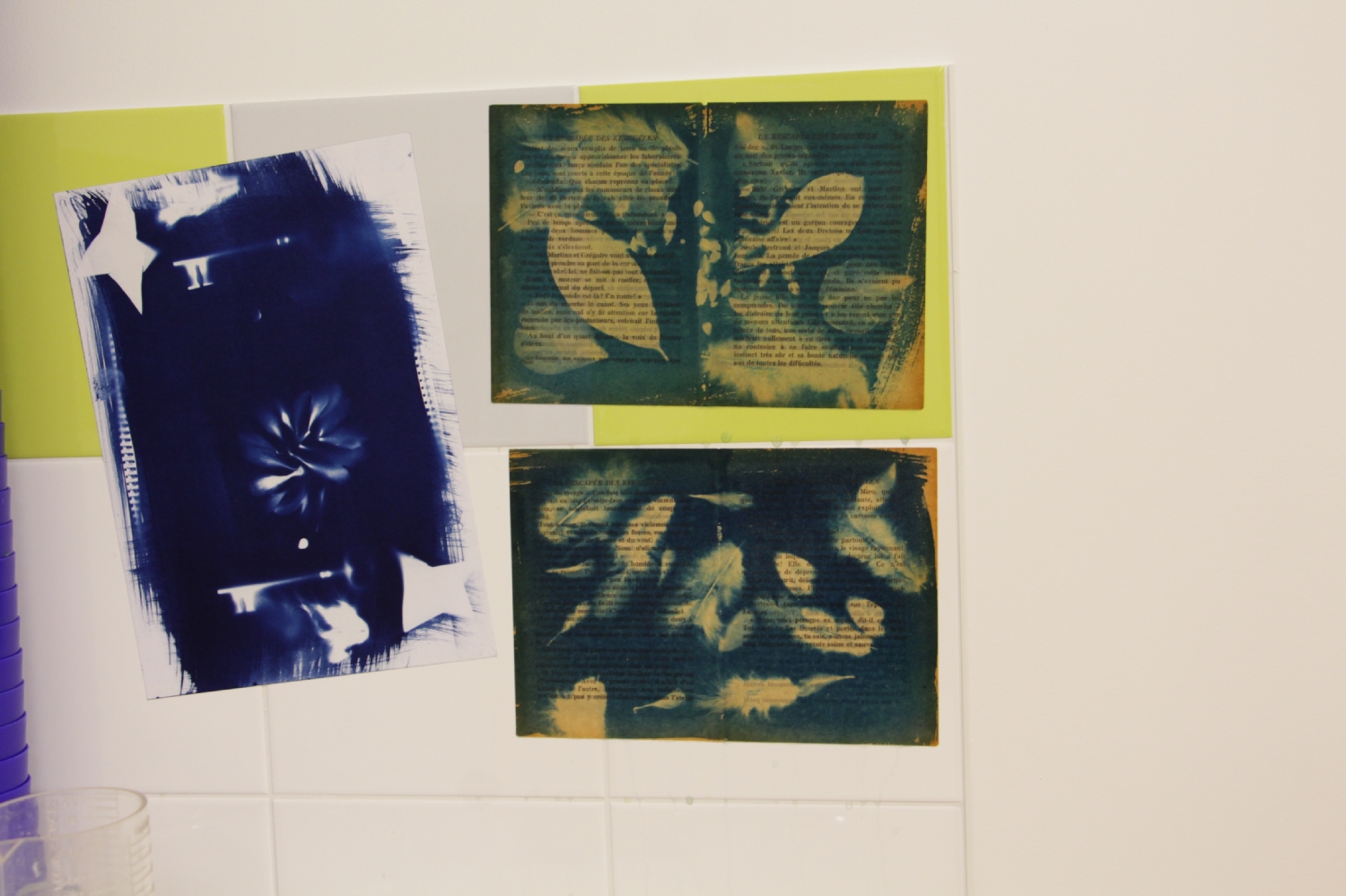 Atelier photo avec Mael Le Golvan