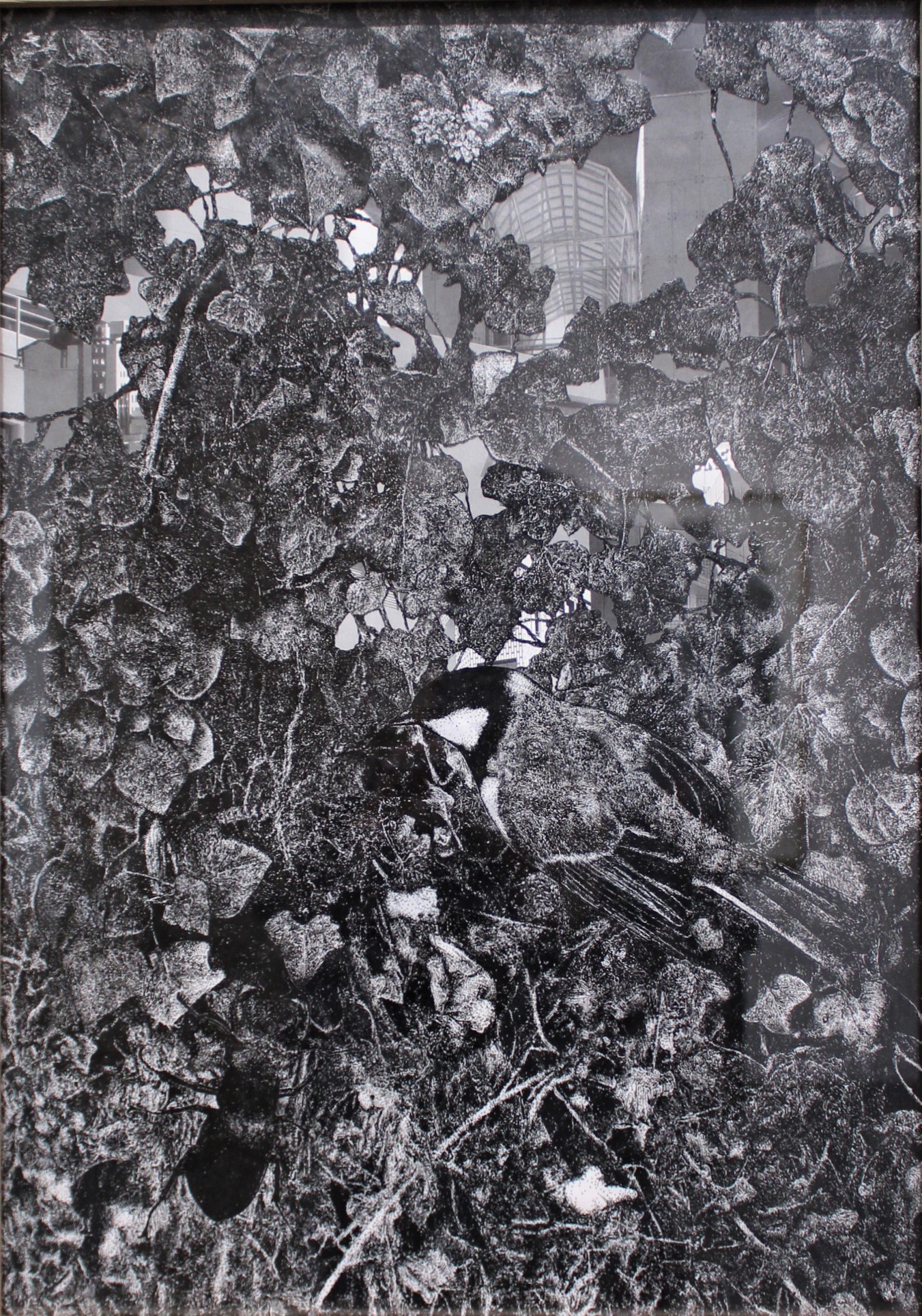 Quentin Montagne. A vol d'oiseau #3, 2019. 42 x 29.7 cm. Encre de Chine sur papier calque, photographie découpée, scotch. 