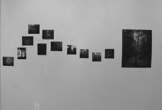 Vue de l'exposition Israel Ariño, Terra Incognita