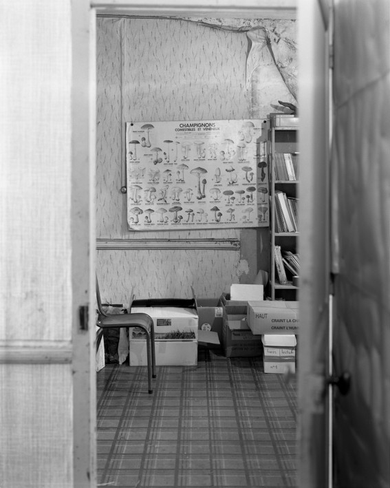 Photo : Marc Loyon, école Gimbert de Guignen, 15 janvier 2015. DR