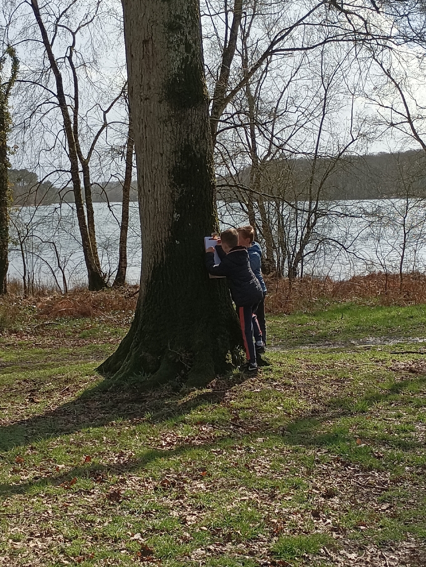 Rencontre avec Carlos Bernal Barrera