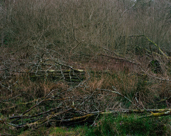 Cédric Martigny,  Métamorphoses, 2012-2013, série de photographies. Production L'aparté. 