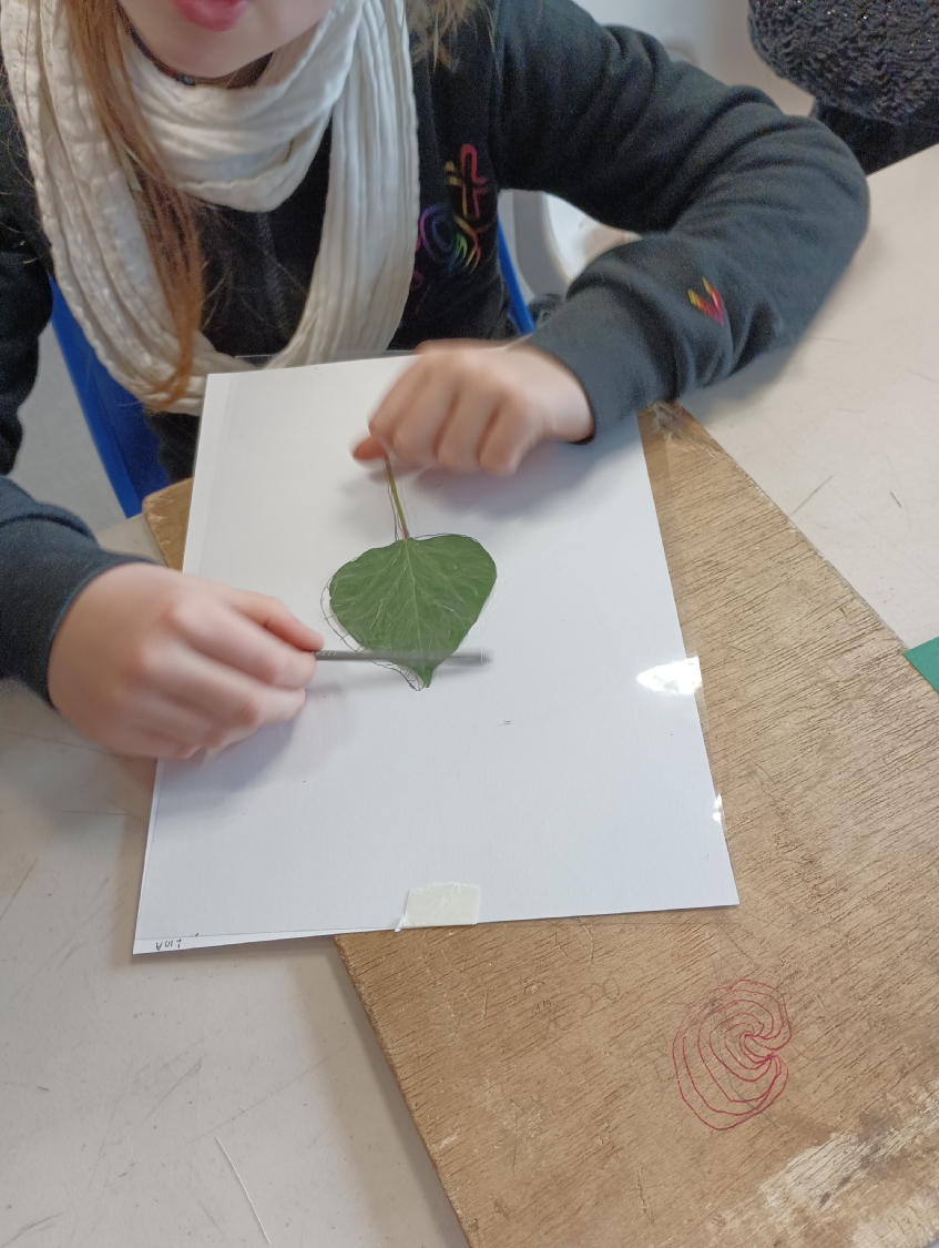 Rencontre avec Carlos Bernal Barrera