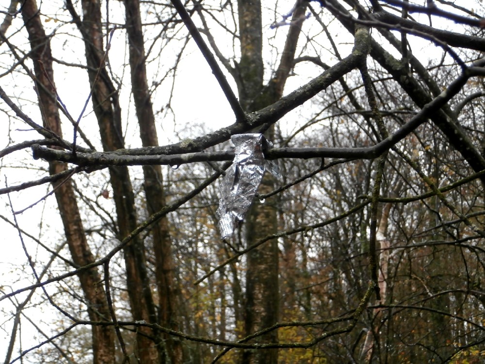 3ème Collège Louis Guilloux Montfort-sur-Meu - 25.11.15