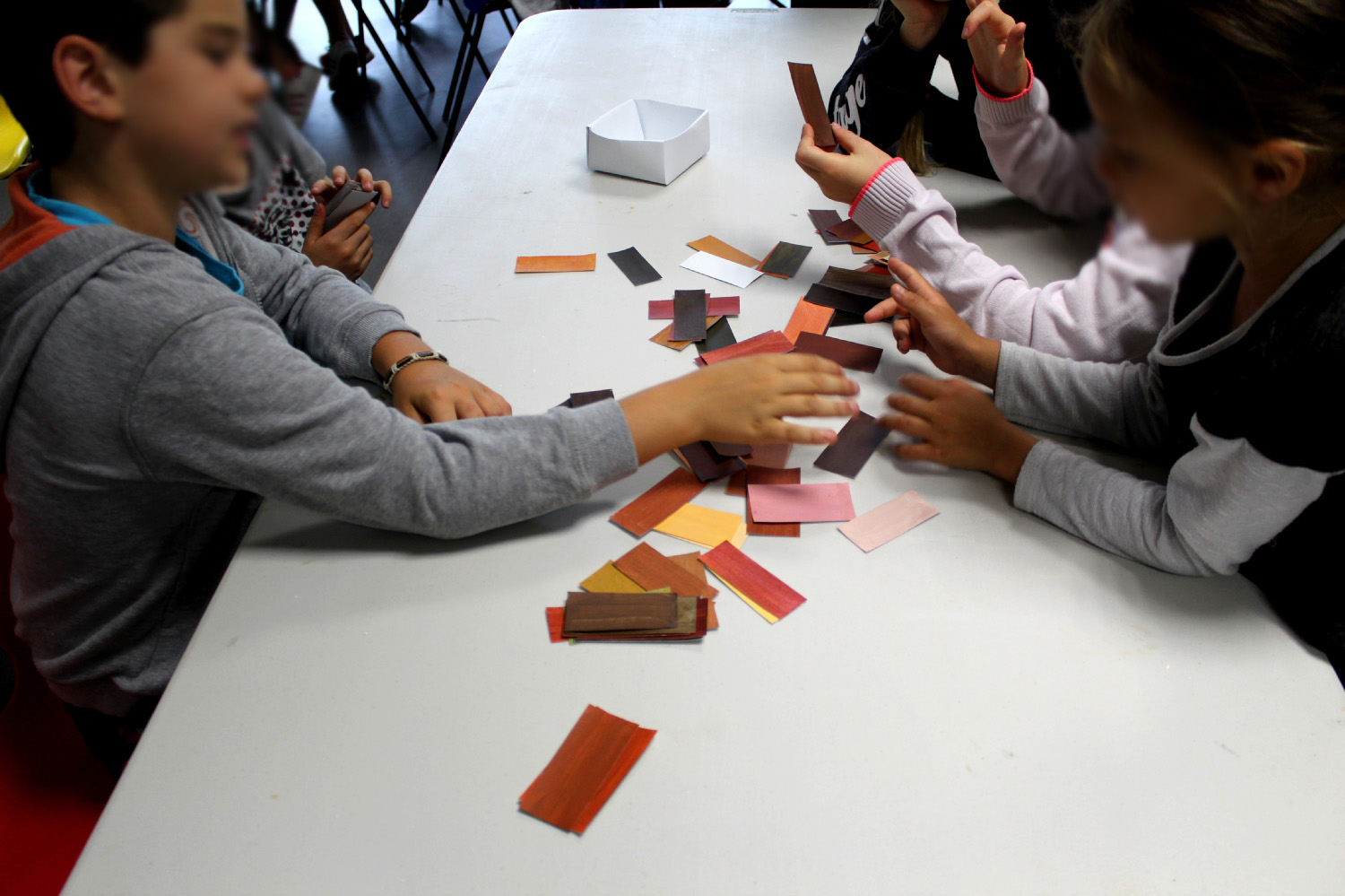 Rencontre avec Julie Giraud - classe de CE2-CM1 de l'école élémentaire du Pays Pourpré de Montfort-sur-Meu