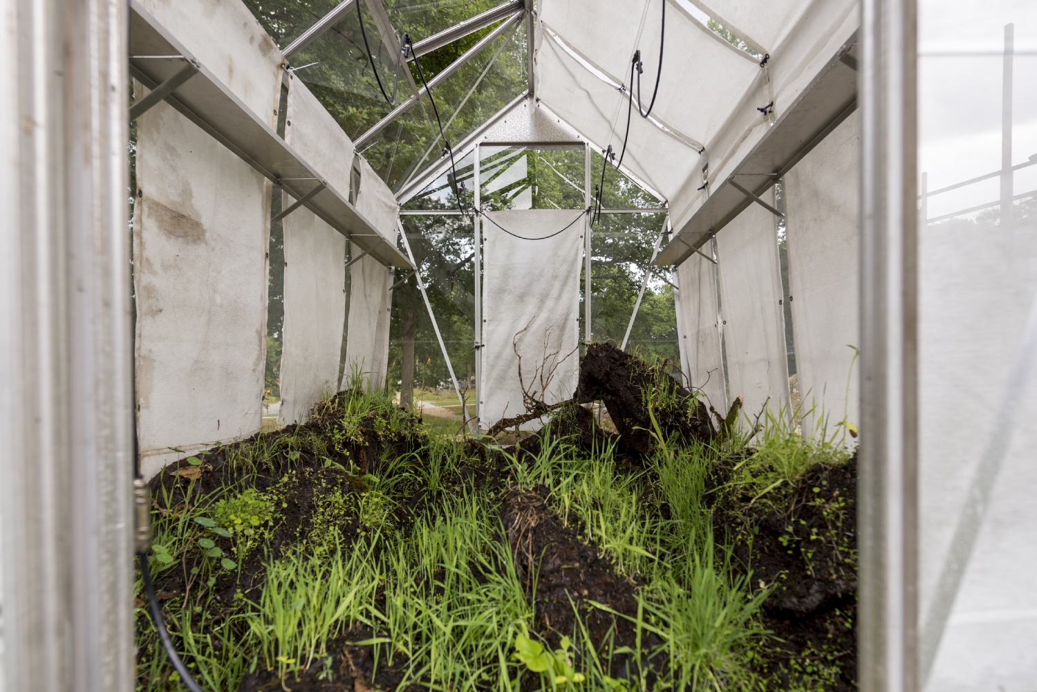 Vue de l'exposition Paul Duncombe, Microcosmes, 2017. Photo : Paul Duncombe