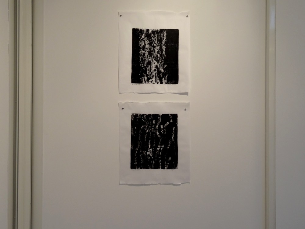 Vue de l'exposition Cécile White, Empreinte carbone. "Radiographies de mes voisins", 4 monotypes acryliques sur papier de lune, 46x53 cm pièce, 2015.