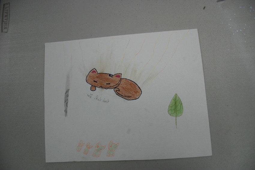 Classe de CE2-CM1 école élémentaire publique du Moulin à Vent, Montfort-sur-Meu