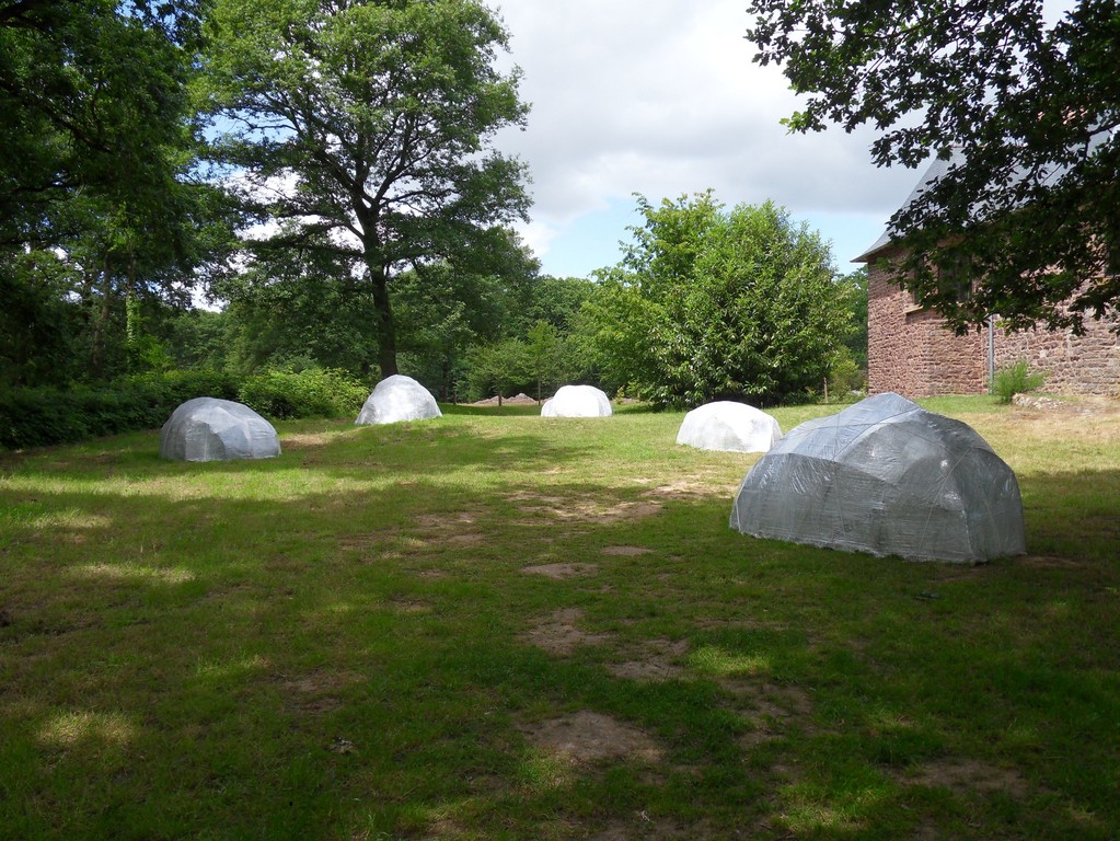 Jean-Marc Nicolas, Paysage emprunté (détail), 2011.