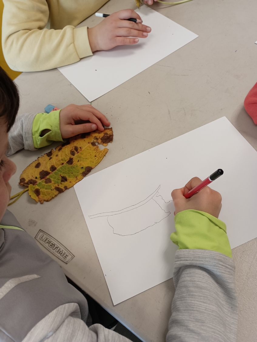 Rencontre avec Carlos Bernal Barrera