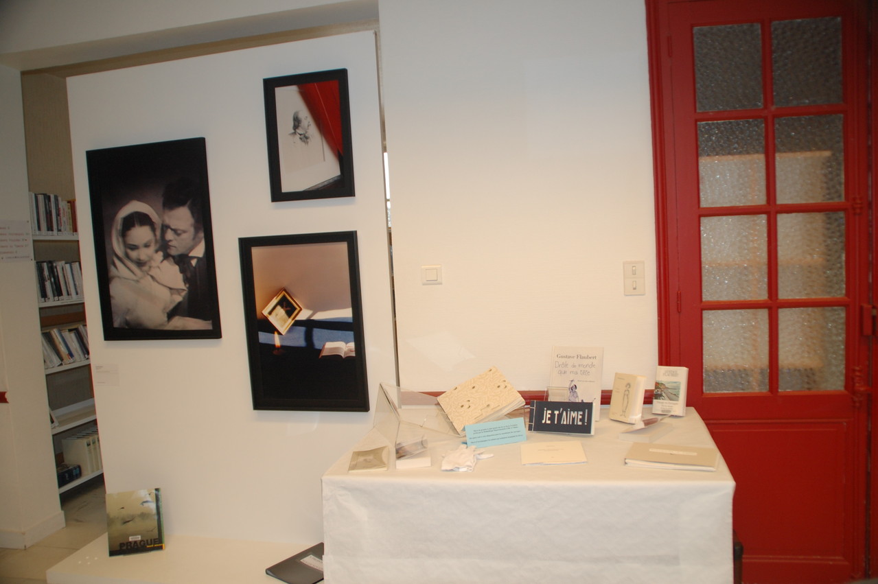 Livres d'artistes et vue d'exposition bibliothèque d'Iffendic - Madji Senadji, série Bovary, 1994/2002. Coll. FRAC Bretagne