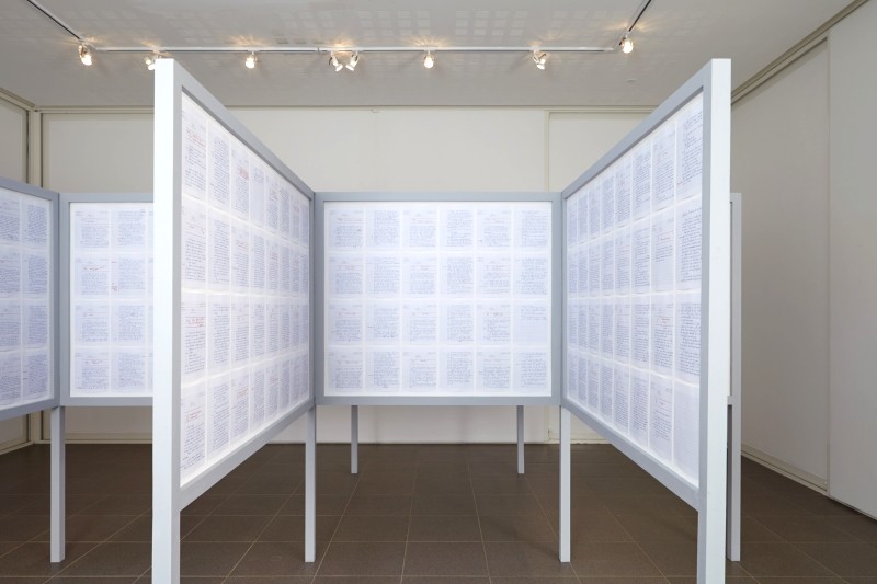 Thomas Tudoux, 14,75/20 (détail), 2014. Photo : Hervé Beurel