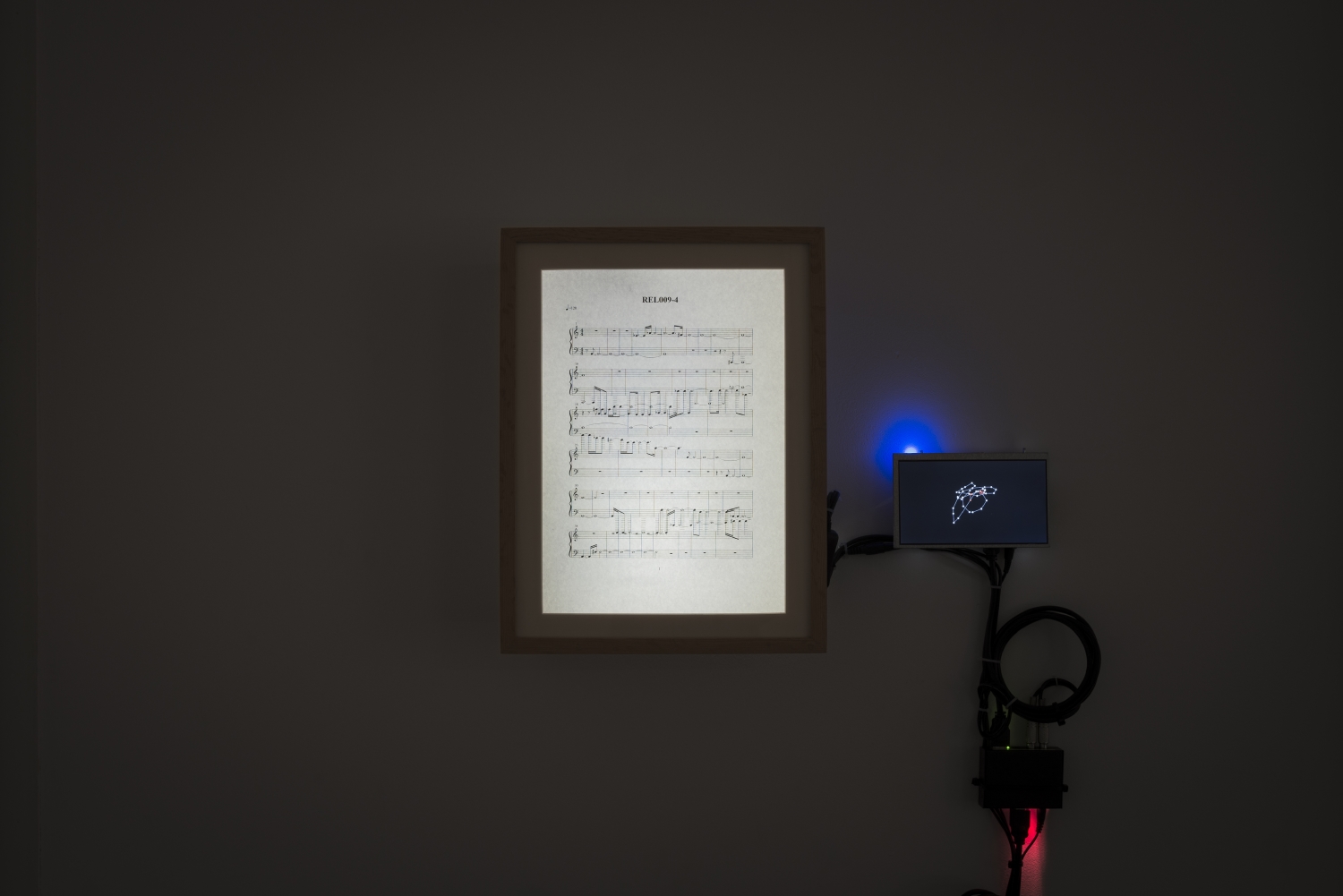 Vue de l'exposition Paul Duncombe, Microcosmes, 2017. Photo : Paul Duncombe