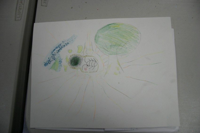 Classe de CE2-CM1 école élémentaire publique du Moulin à Vent, Montfort-sur-Meu