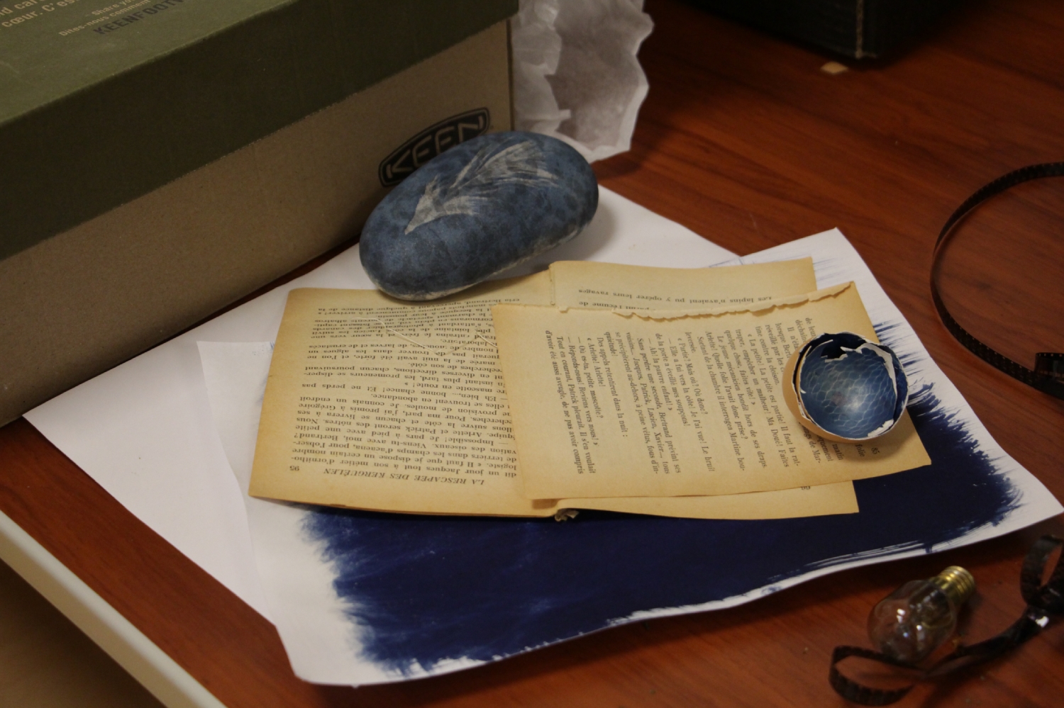 Atelier photo avec Mael Le Golvan