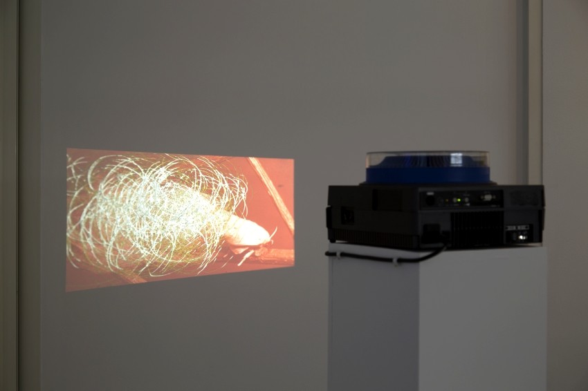 François Feutrie, Les habitants du sous-sol, 2015. Photo : Hervé Beurel