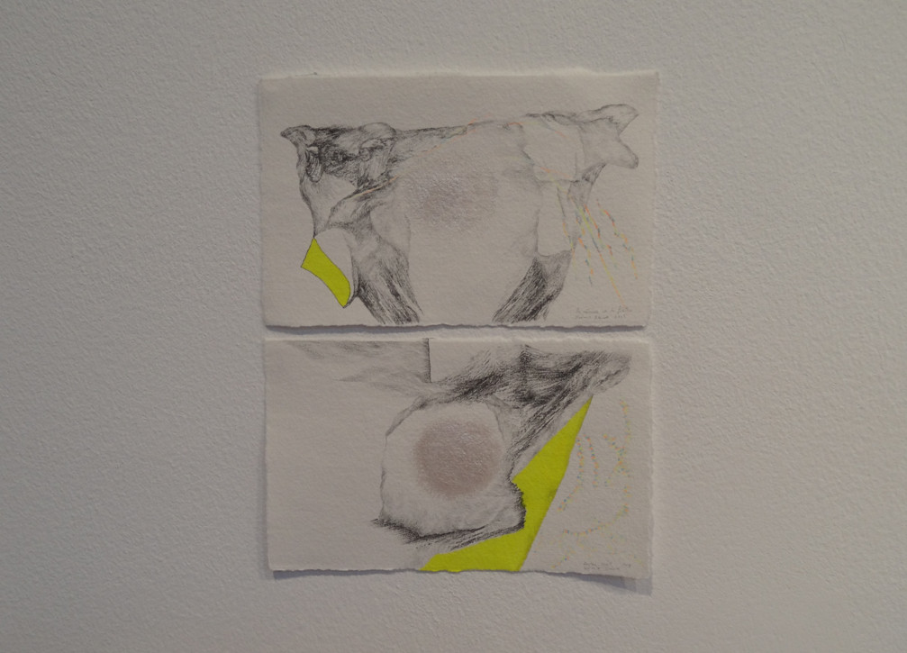 Noémie Sauve, Contre nuit et La Réserve et le filtre - Dessin, mine graphite, crayon de couleur, feutre, pigment nacré, 14,5x9cm, 2015